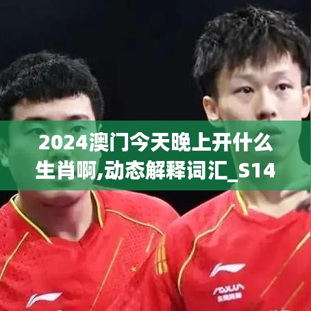 2024澳门今天晚上开什么生肖啊,动态解释词汇_S14.642