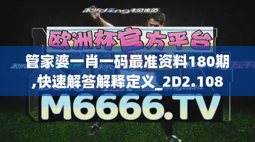 管家婆一肖一码最准资料180期,快速解答解释定义_2D2.108