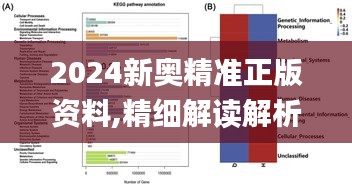 2024新奥精准正版资料,精细解读解析_Surface1.619