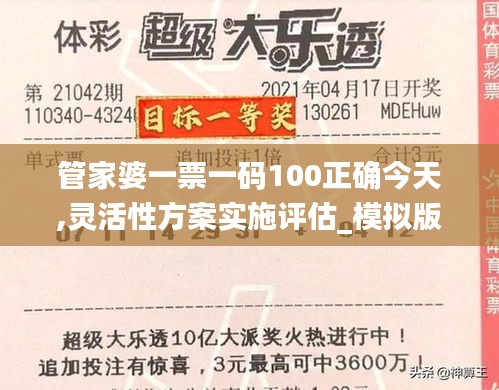 管家婆一票一码100正确今天,灵活性方案实施评估_模拟版2.717