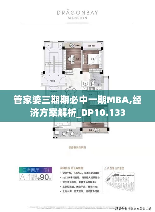 管家婆三期期必中一期MBA,经济方案解析_DP10.133