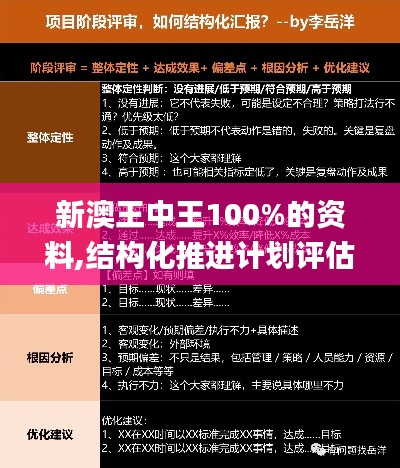 新澳王中王100%的资料,结构化推进计划评估_冒险版2.906