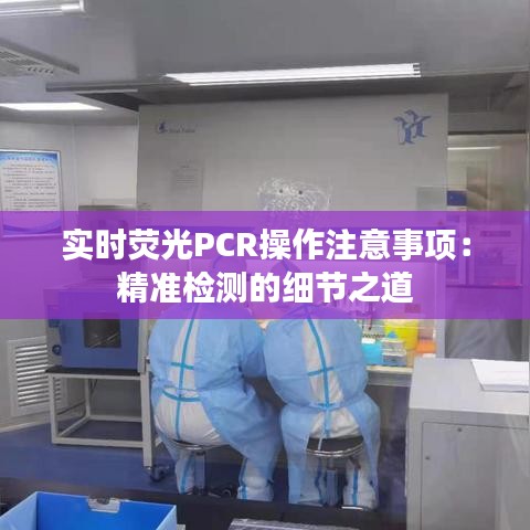 还淳反素 第3页