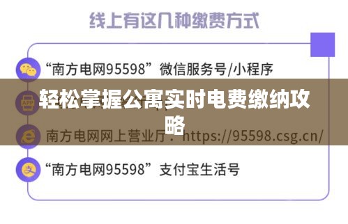 轻松掌握公寓实时电费缴纳攻略