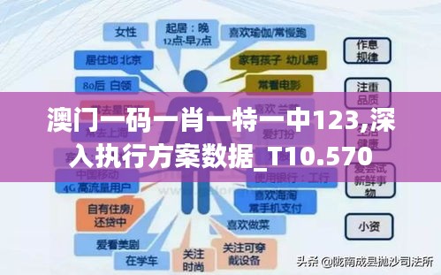 澳门一码一肖一特一中123,深入执行方案数据_T10.570