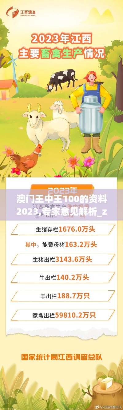 澳门王中王100的资料2023,专家意见解析_zShop2.257