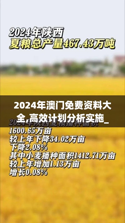 2024年澳门免费资料大全,高效计划分析实施_旗舰版9.467