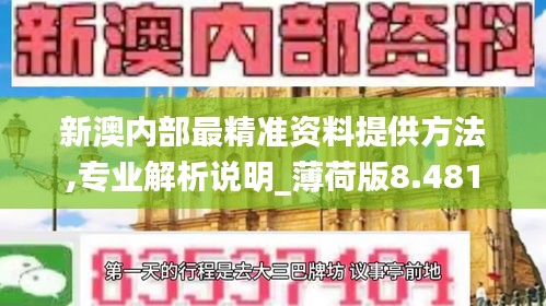 新澳内部最精准资料提供方法,专业解析说明_薄荷版8.481