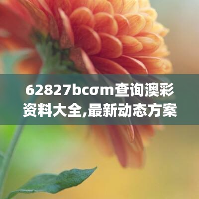 62827bcσm查询澳彩资料大全,最新动态方案_旗舰版10.263