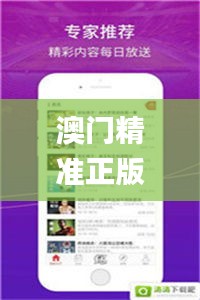 澳门精准正版四不像,实地验证设计方案_Prestige2.866