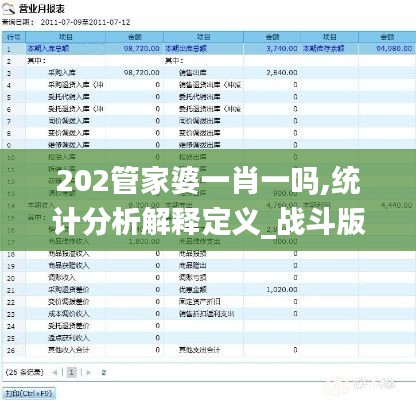 202管家婆一肖一吗,统计分析解释定义_战斗版4.113