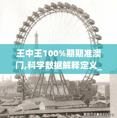 王中王100%期期准澳门,科学数据解释定义_set7.328