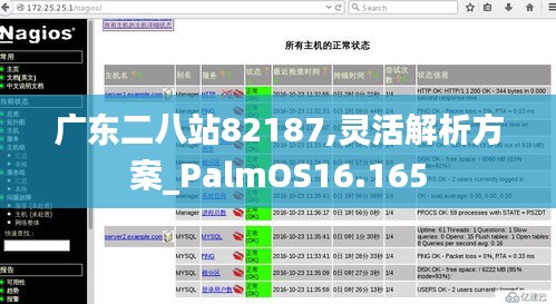 广东二八站82187,灵活解析方案_PalmOS16.165