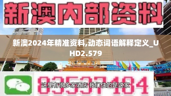 新澳2024年精准资料,动态词语解释定义_UHD2.579