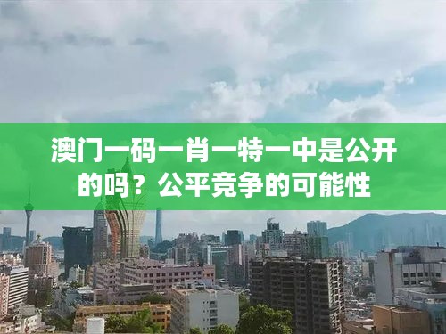 澳门一码一肖一特一中是公开的吗？公平竞争的可能性