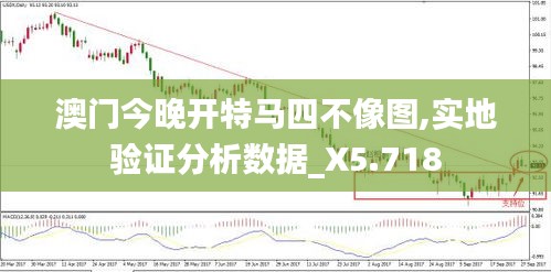 澳门今晚开特马四不像图,实地验证分析数据_X5.718