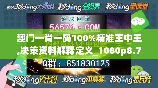 澳门一肖一码100%精准王中王,决策资料解释定义_1080p8.795