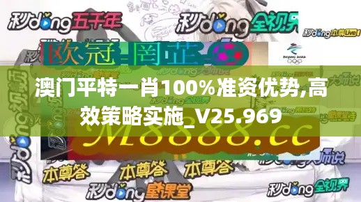 澳门平特一肖100%准资优势,高效策略实施_V25.969