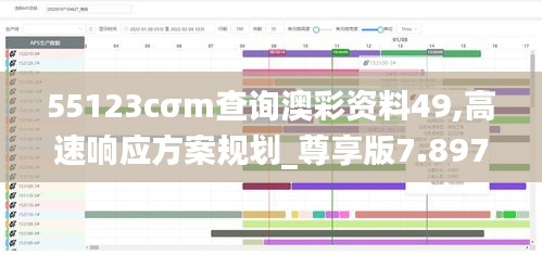 55123cσm查询澳彩资料49,高速响应方案规划_尊享版7.897