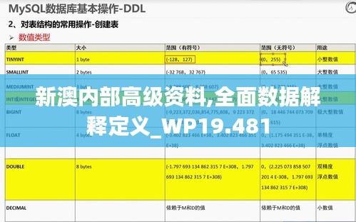 新澳内部高级资料,全面数据解释定义_WP19.481