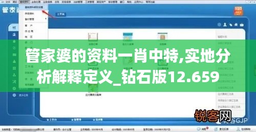 管家婆的资料一肖中特,实地分析解释定义_钻石版12.659