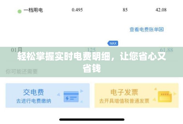 轻松掌握实时电费明细，让您省心又省钱