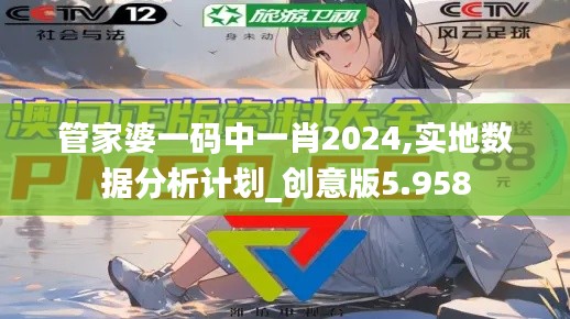 管家婆一码中一肖2024,实地数据分析计划_创意版5.958