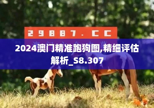 2024澳门精准跑狗图,精细评估解析_S8.307