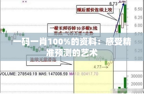 一码一肖100%的资料：感受精准预测的艺术