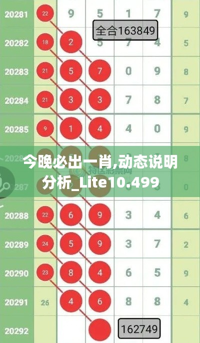 今晚必出一肖,动态说明分析_Lite10.499