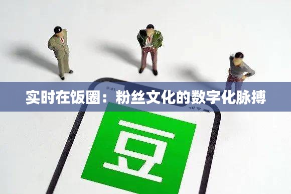 实时在饭圈：粉丝文化的数字化脉搏