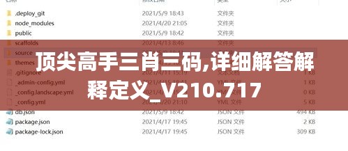 顶尖高手三肖三码,详细解答解释定义_V210.717