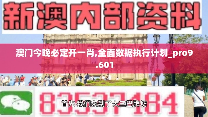 澳门今晚必定开一肖,全面数据执行计划_pro9.601