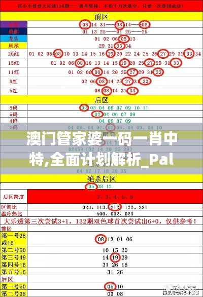 澳门管家婆一码一肖中特,全面计划解析_PalmOS3.137