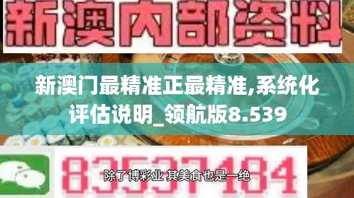 新澳门最精准正最精准,系统化评估说明_领航版8.539