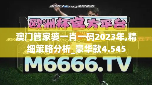 澳门管家婆一肖一码2023年,精细策略分析_豪华款4.545