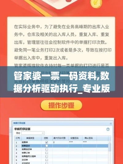 管家婆一票一码资料,数据分析驱动执行_专业版10.694