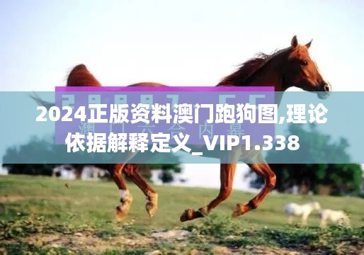 2024正版资料澳门跑狗图,理论依据解释定义_VIP1.338