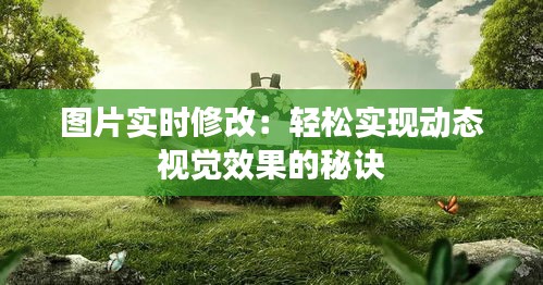 图片实时修改：轻松实现动态视觉效果的秘诀