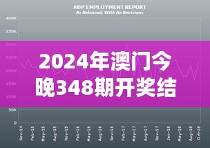 2024年澳门今晚348期开奖结果：开奖之夜，澳门的狂欢