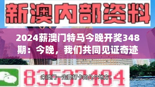 2024薪澳门特马今晚开奖348期：今晚，我们共同见证奇迹