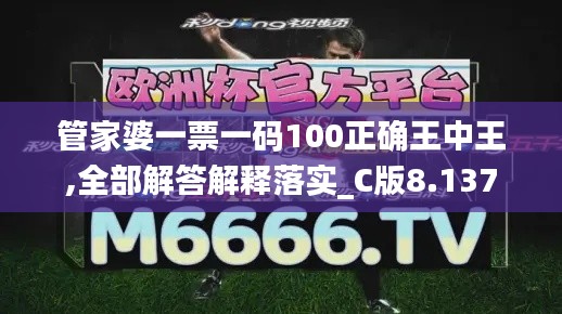 管家婆一票一码100正确王中王,全部解答解释落实_C版8.137