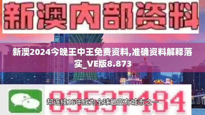 新澳2024今晚王中王免费资料,准确资料解释落实_VE版8.873