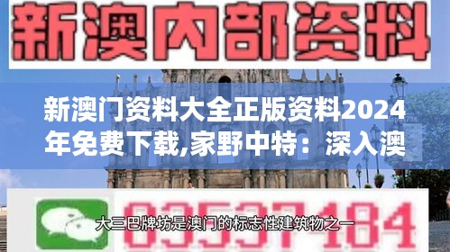 新澳门资料大全正版资料2024年免费下载,家野中特：深入澳门文化精髓的指南