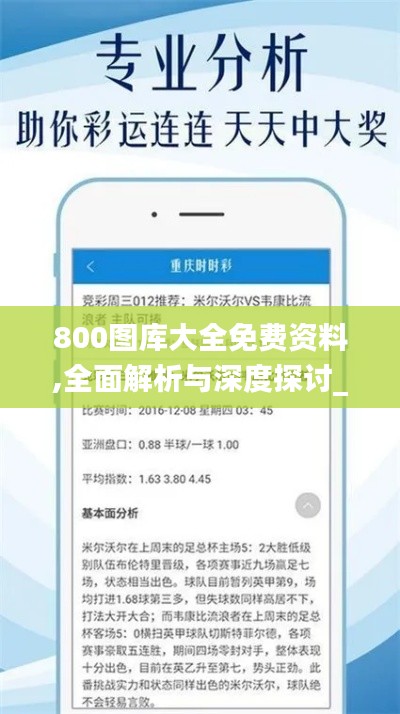 800图库大全免费资料,全面解析与深度探讨_QHD2.604