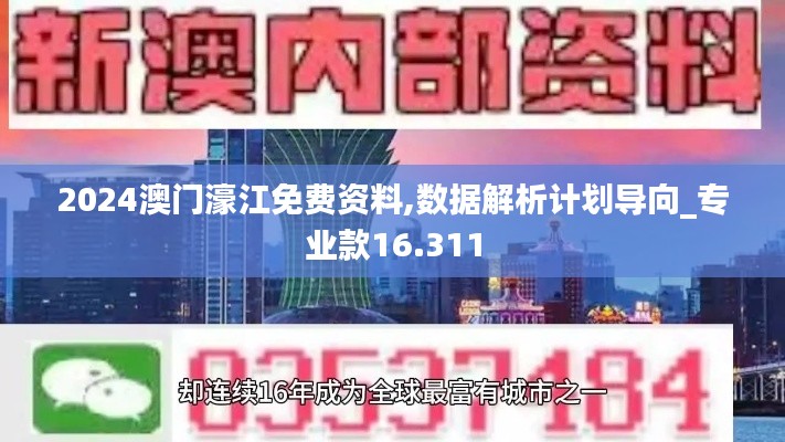 2024澳门濠江免费资料,数据解析计划导向_专业款16.311