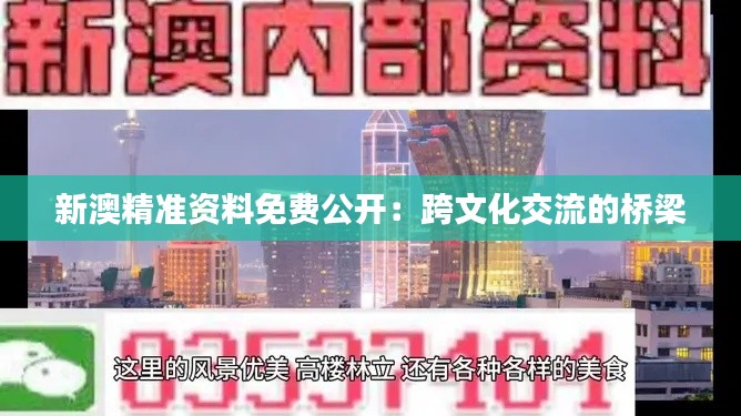 新澳精准资料免费公开：跨文化交流的桥梁