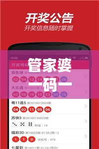 管家婆一码一肖100准348期，彩票玩家的信心之源