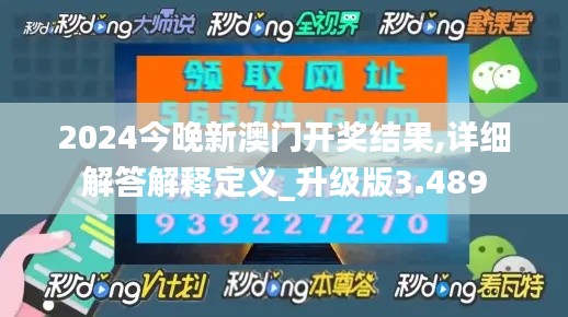 2024今晚新澳门开奖结果,详细解答解释定义_升级版3.489