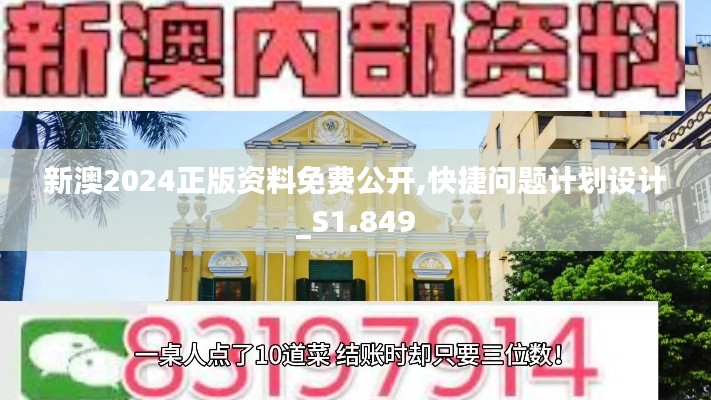 新澳2024正版资料免费公开,快捷问题计划设计_S1.849